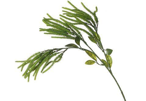 157-005 Amaranth branch H64cm green