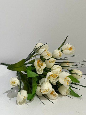 2560 Bouquet of crocuses