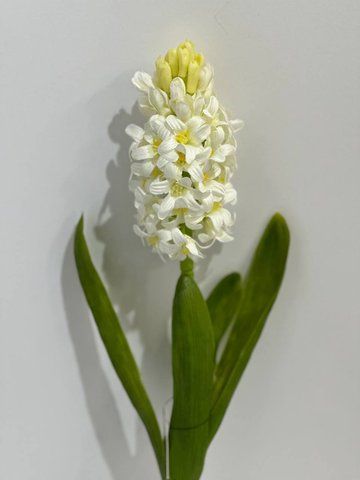 124 Hyacinth White