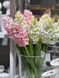 124 Hyacinth White