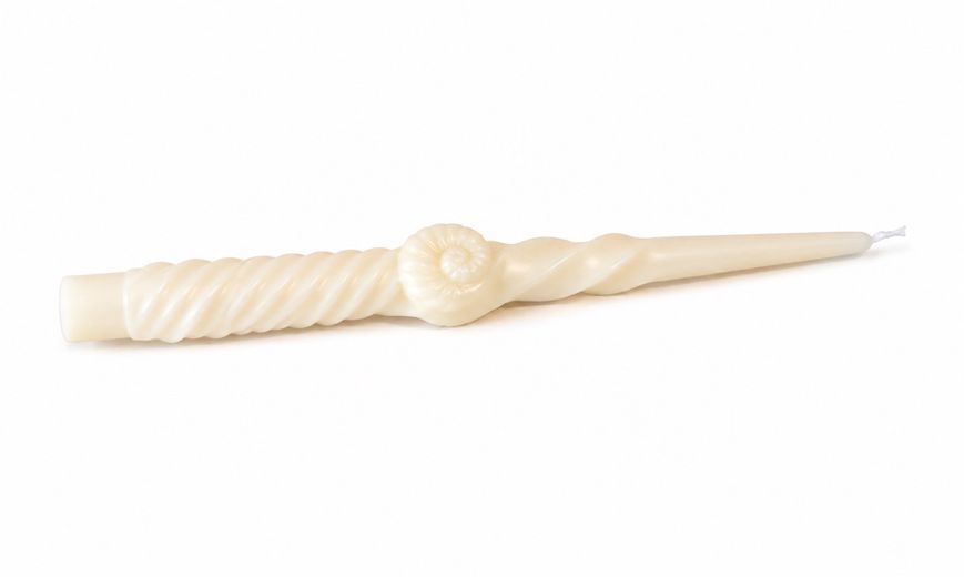 145-002 Candle Shell (25cm). Color: milky