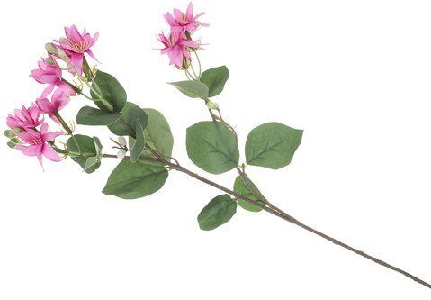 713038 Branch of Ochna 61cm, color - pink