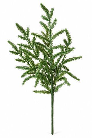 6373 Norfolk branch (45 cm)