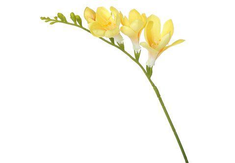 824-187 Freesia branch H60cm yellow