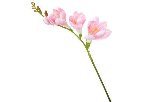 824-185 Freesia branch H60cm pink