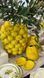 457-337 Lemon porcelain vase D26*43 cm