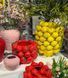 457-373 Strawberry porcelain vase D26*20 cm