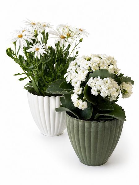 1258 Ecoplastic Planter (H12cm/D12.5cm)