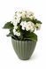 1258 Ecoplastic Planter (H12cm/D12.5cm)