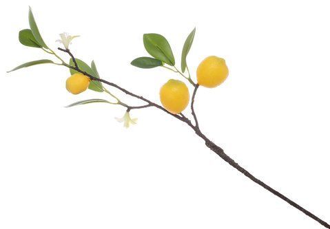 119-025 Decorative branch with inflorescence and fruits of Lemon, 46cm