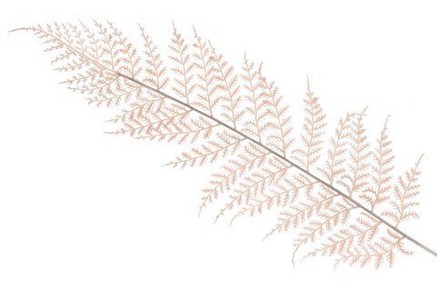 709-585 Decorative branch Fern 59cm, cream color