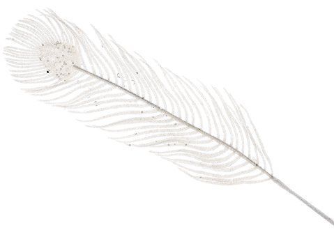 839-489 Decorative branch Peacock Feather 69cm, color - white glitter
